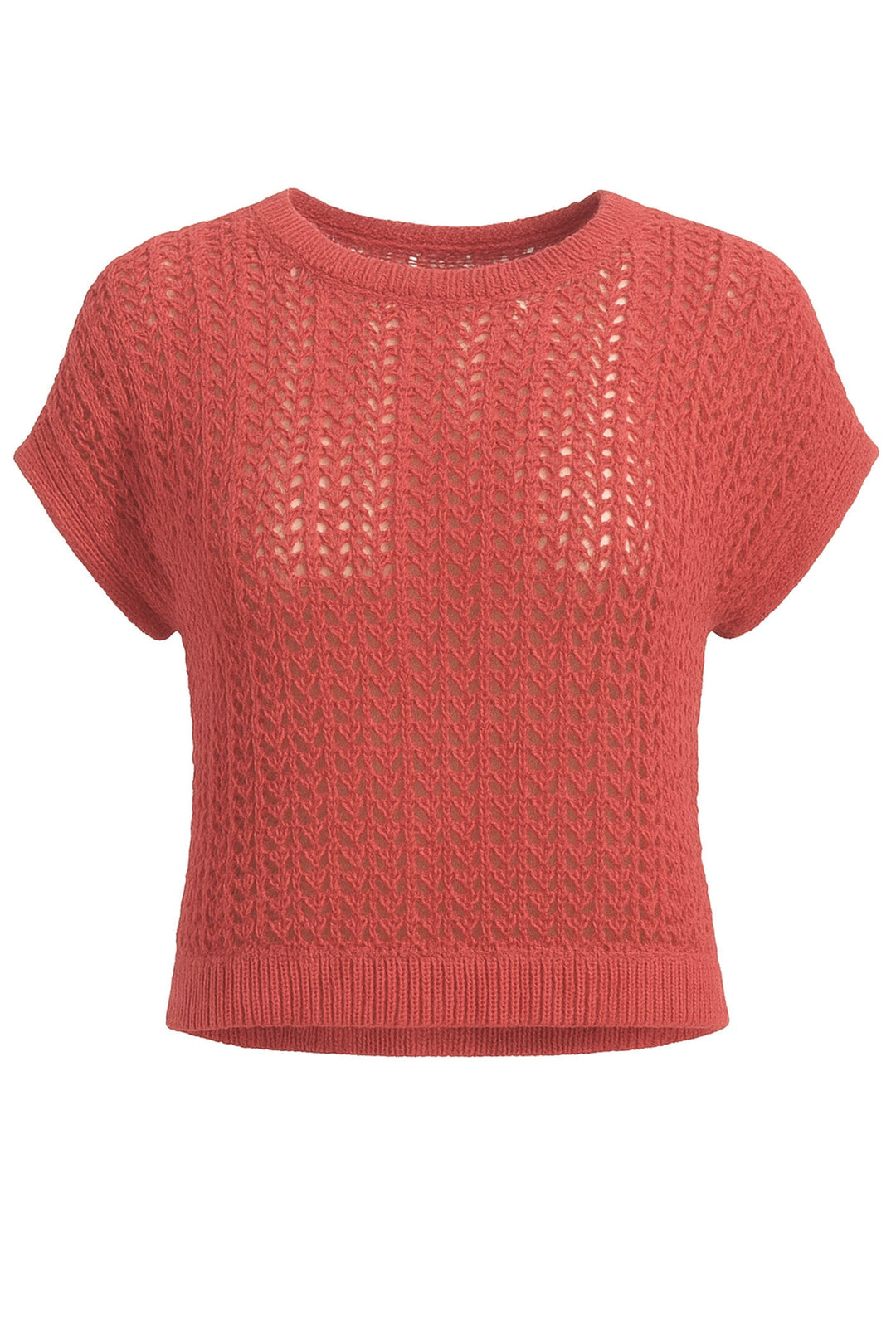 Peachy Coral